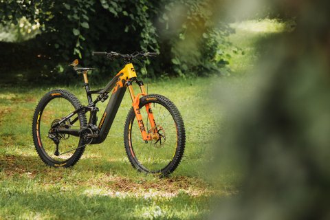 Bicycle, Mountain Bike, Vehicle.