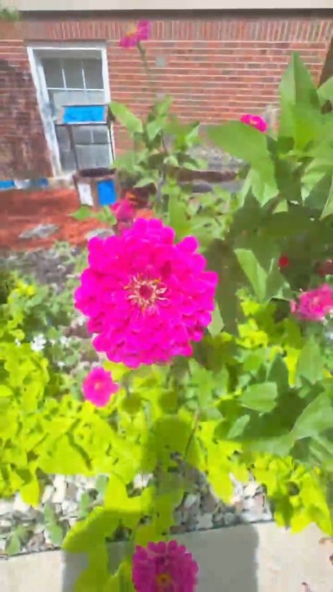 Attached photo.