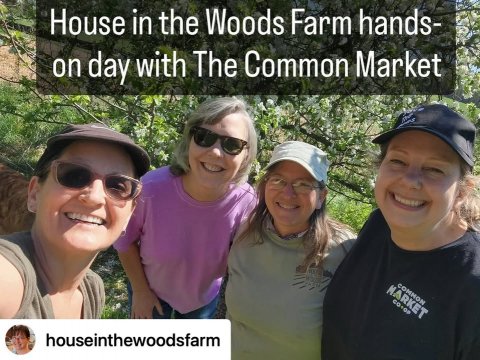 Sunglasses, T-Shirt, Baseball Cap. Text: House in the Woods Farm hands- on day with The Common Market COMMON MARKET houseinthewoodsfarm