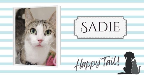 Cat, Text, Dog. Text: SADIE Happy Tail!
