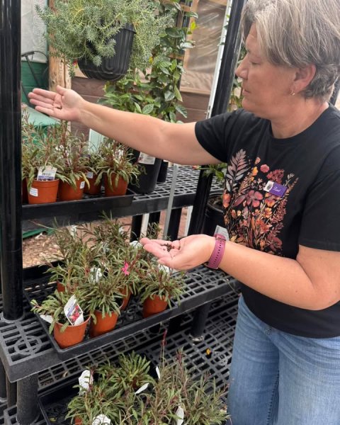 Garden, Potted Plant, Gardening.