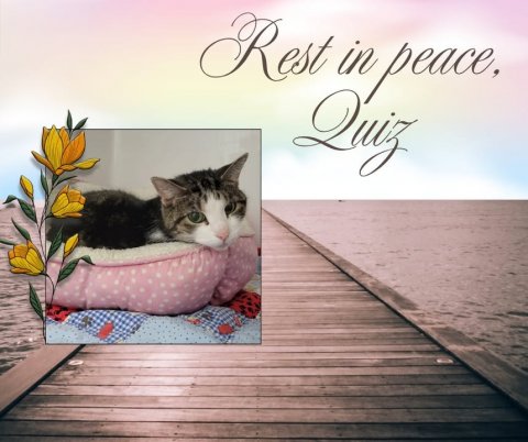 Waterfront, Pier, Greeting Card. Text: Rest in peace,