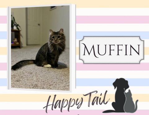 Greeting Card, Cat, Pet. Text: MUFFIN Happy Tail