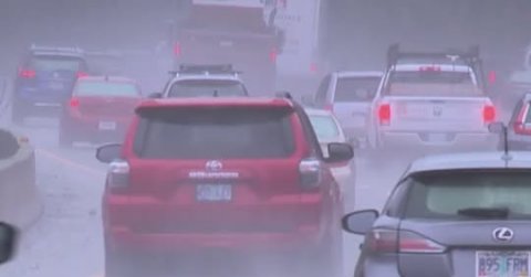 License Plate, Outdoors, Nature.