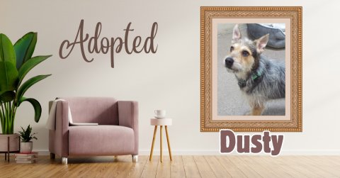 Canvas, Dog, Painting. Text: Adopted Dusty