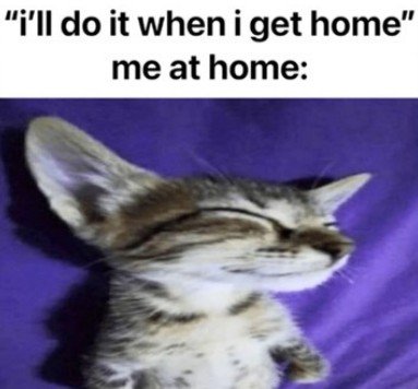 Cat, Kitten, Pet. Text: "i'll do it when i get home" me at home: