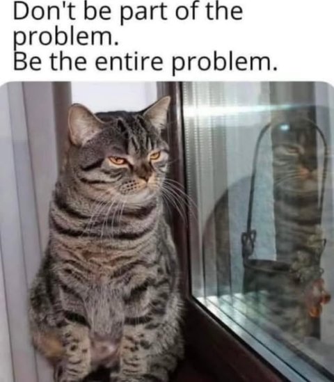 Cat, Pet, Windowsill. Text: Don't be part of the problem. Be the entire problem.