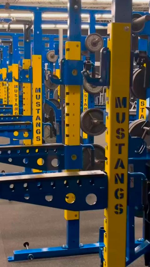 Working Out, Fitness, Gym. Text: USTAN MUSTANG MUSTANGS STAN STA MUSTANGS U