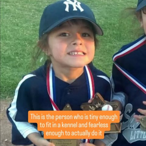 Baseball Cap, Cap, People. Text: This is the person who is tiny enough S to fit in a kennel and fearless enough to actually do it LITTL