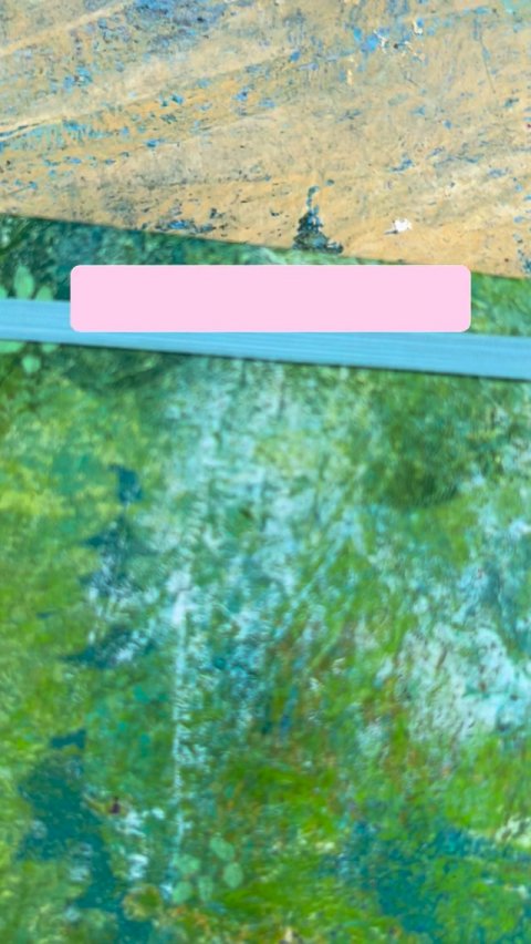 Land, Vegetation, Algae.