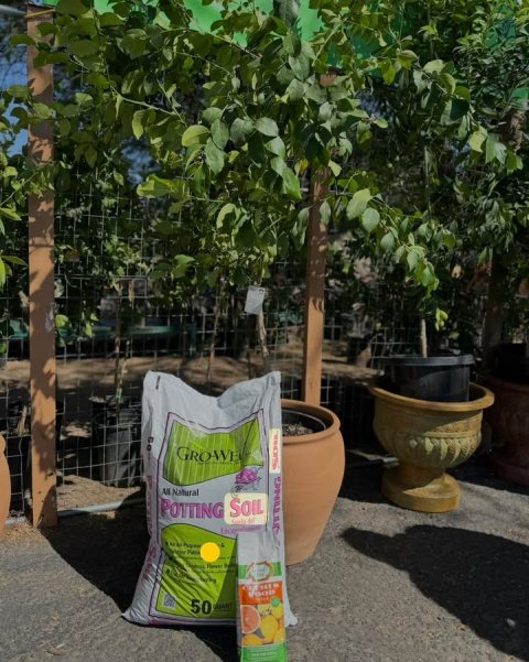 Potted Plant, Planter, Pot. Text: GROWE All Natural POTTING SOIL