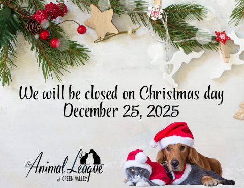 Greeting Card, Dog, Hound. Text: We will be closed on Christmas day December 25, 2025 of GREEN