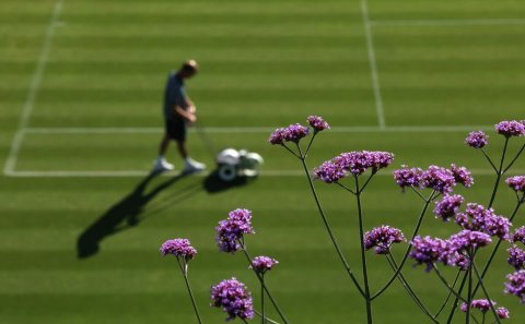 Field, Grass, Person.