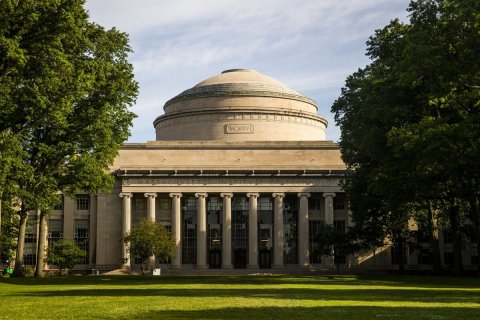Grass, Planetarium, Lawn.