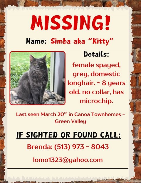 Advertisement, Poster, Cat. Text: MISSING! Name: Simba aka "Kitty" Details: female spayed, grey, domestic old. no collar, has microchip. Last seen March 20th in Canoa Townhomes- Green Valley IF SIGHTED OR FOUND CALL: Brenda: (513) 973-8043 lomo1323@yahoo.com