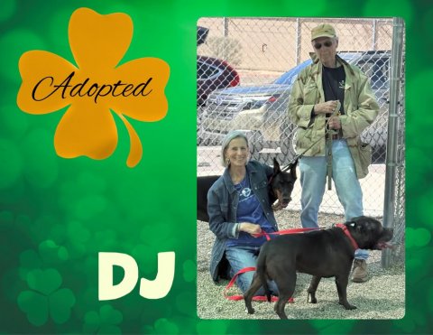 Adult, Man, Person. Text: Adopted DJ