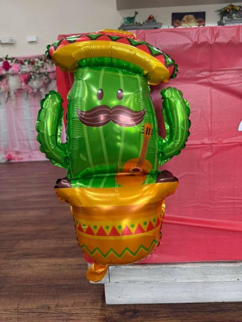 Person, Potted Plant, Handicraft.