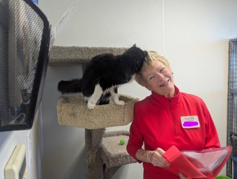 Adult, Person, Woman.