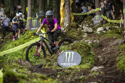 Glove, Helmet, Slope. Text: MONSTER