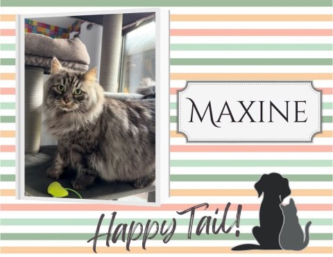 Cat, Home Decor, Dog. Text: MAXINE Happy Tail!