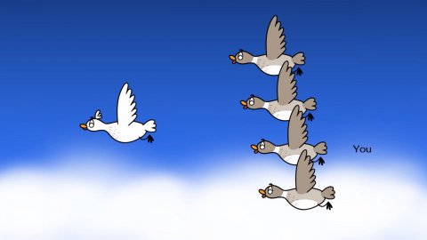 Bird, Flying, Goose. Text: You