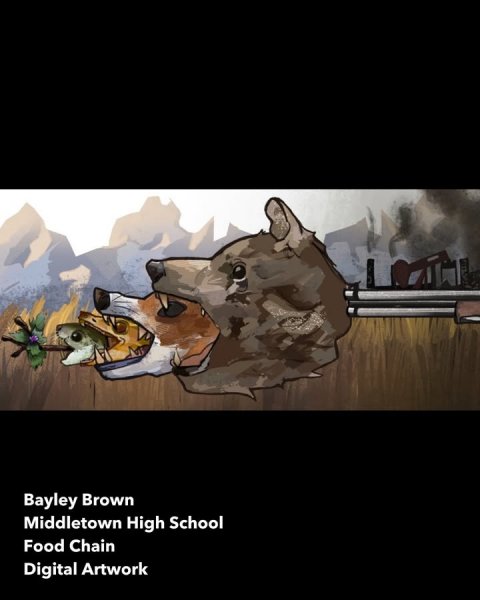 Coyote, Mammal, Wolf. Text: Bayley Brown Middletown High School Food Chain Digital Artwork