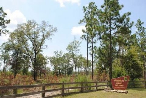 Park, Vegetation, Woodland.