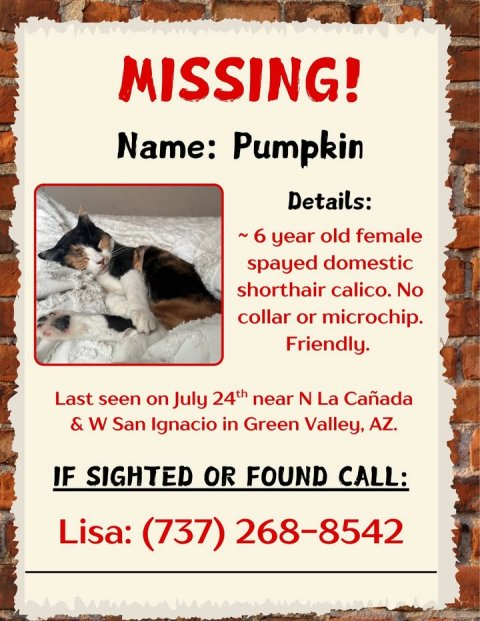 Advertisement, Poster, Cat. Text: MISSING! Name: Pumpkin Details: ~6 year old female spayed domestic shorthair calico. No collar or microchip. Friendly. Last seen on July 24th near N La Cañada &amp; W San Ignacio in Green Valley, AZ. IF SIGHTED OR FOUND CALL: Lisa: (737) 268-8542