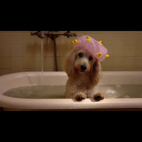 Bathing, Bathtub, Tub.