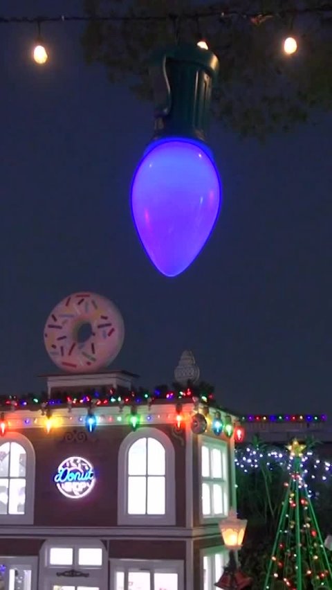 Lighting, Christmas Decorations, Festival. Text: Donut