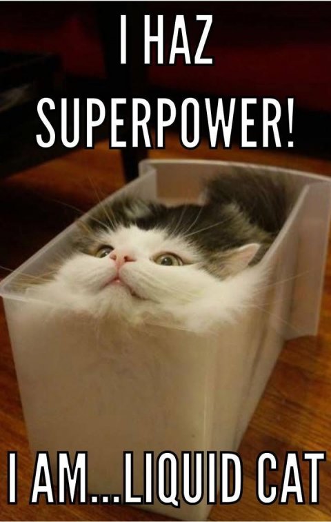 Cat, Kitten, Box. Text: SUPERPOWER!