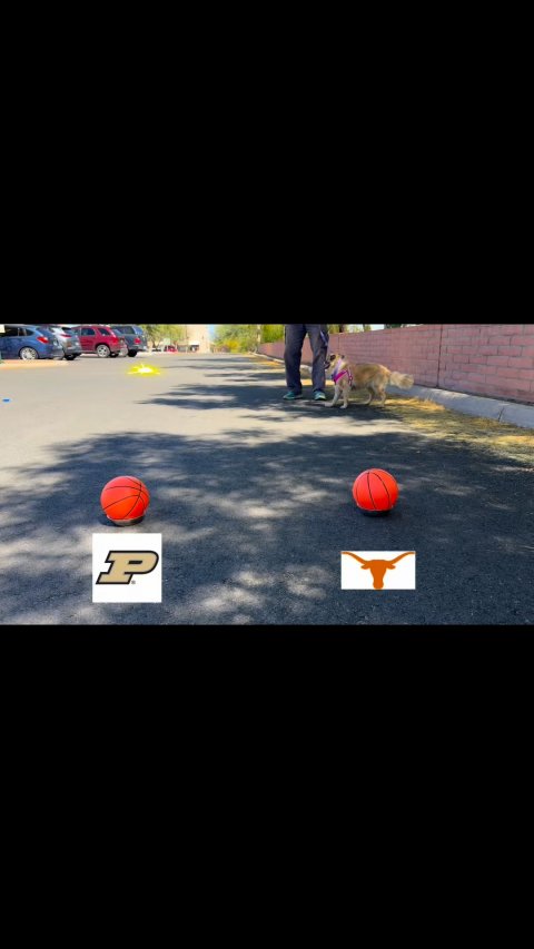 Tarmac, Street, Photography. Text: P