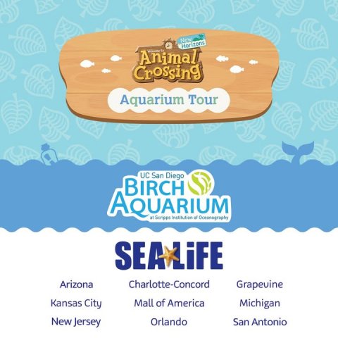 Advertisement, Poster, Disk. Text: New Horizons Animal Crossing Aquarium Tour UC San Diego BIRCH AQUARIUM Arizona Charlotte-Concord Grapevine Kansas City Mall of America Michigan New Jersey Orlando San Antonio