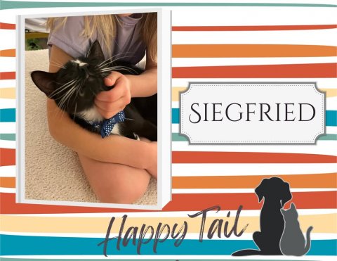 Cat, Pet, Dog. Text: SIEGFRIED Happy Tail