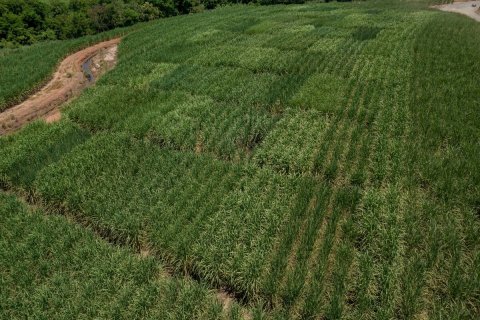 Outdoors, Nature, Countryside.