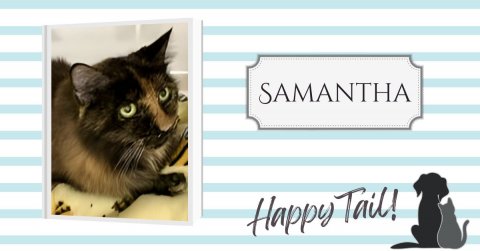 Cat, Pet, Dog. Text: SAMANTHA Happy Tail!