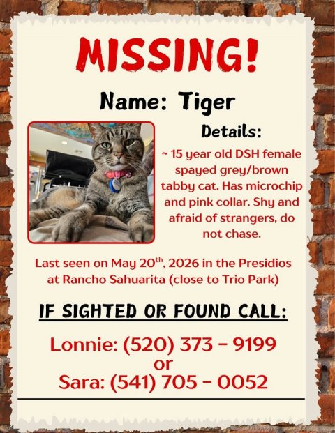 Advertisement, Poster, Cat. Text: MISSING! Name: Tiger Details: ~15 year old DSH female spayed grey/brown tabby cat. Has microchip and pink collar. Shy and afraid of strangers, do not chase. Last seen on May 20th, 2026 in the Presidios at Rancho Sahuarita (close to Trio Park) IF SIGHTED OR FOUND CALL: Lonnie: (520) 373-9199 or Sara: (541) 705-0052