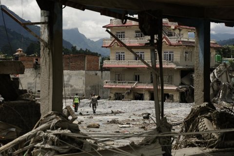 Person, Bird, Post Apocalyptic.