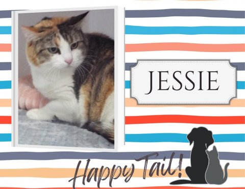Cat, Pet, Dog. Text: JESSIE Happy Tail!
