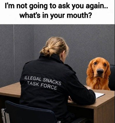 Adult, Person, Woman. Text: I'm not going to ask you again.. what's in your mouth? ILLEGAL SNACKS TASK FORCE