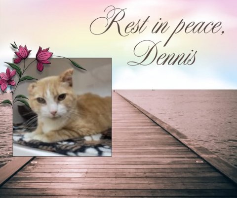 Waterfront, Greeting Card, Pier. Text: Dennis