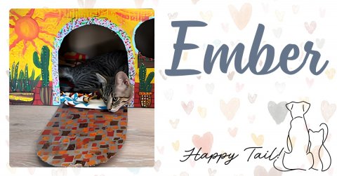 Dog House, Cat, Indoors. Text: Ember