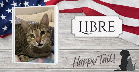 American Flag, Cat, Dog. Text: LIBRE Happy Tail!