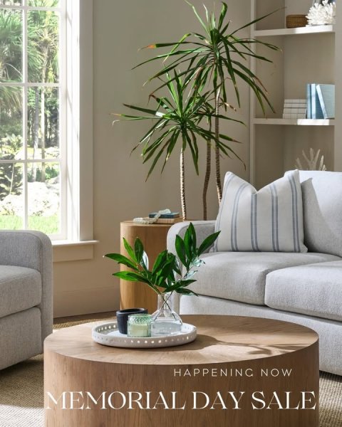 Potted Plant, Coffee Table, Table. Text: MEMORIAL DAY SALE