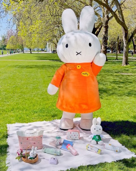 Grass, Toy, Person. Text: miffy
