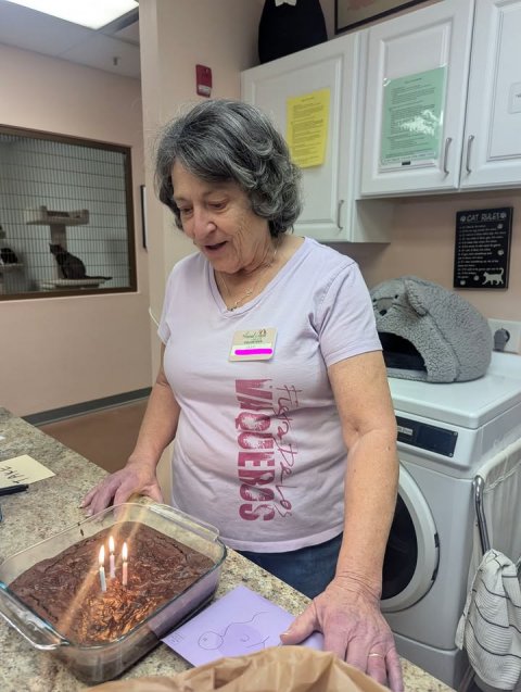 Washer, Person, Woman.