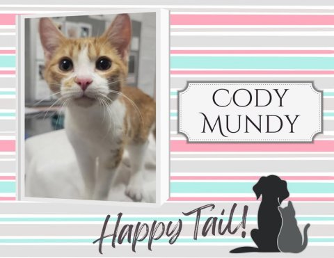 Greeting Card, Cat, Kitten. Text: CODY MUNDY Happy Tail!