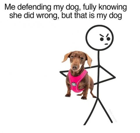 Snout, Dog, Accessories. Text: Me defending my dog, fully knowing she did wrong, but that is my dog