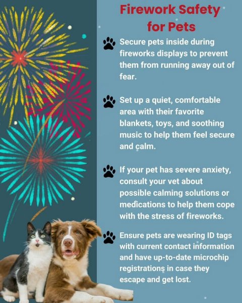 Advertisement, Poster, Greeting Card. Text: Firework Safety for Pets Secure pets inside during fireworks displays to prevent them from running away out of fear. Set up a quiet, comfortable area with their favorite blankets, toys, and soothing music to help them feel secure and calm. If your pet has severe anxiety, consult your vet about possible calming solutions or medications to help them cope with the stress of fireworks. Ensure pets are wearing ID tags with current contact information and have up-to-date microchip registrations in case they escape and get lost.
