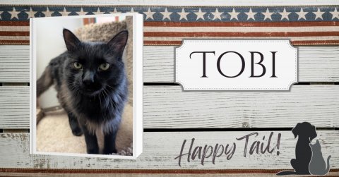 Cat, Pet, Mailbox. Text: TOBI Happy Tail!